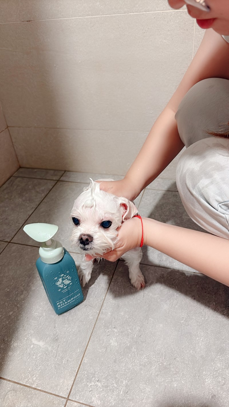 女人知己試用大隊,口碑行銷,部落客行銷,Goodmofamily歸毛家族 寵物肌膚救星組,歸毛家族 寵物肌膚救星,舒敏保濕洗毛乳,護膚噴液,精萃營養霜,博士30年生技專業,給足皮膚營養保護力,無抗生素 無類固醇,神經醯胺,19種綜合胺基酸,榮獲SNQ國家認證,上萬毛爸媽見證,3週幫助皮膚健康,NO.1寵物肌膚口碑霸主,寵物第一護膚領導品牌